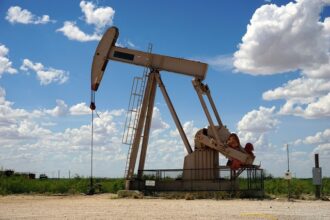 opec se asteapta in 2025 la o crestere mai lenta a furnizarii de petrol din partea rivalilor 6824a271c969f