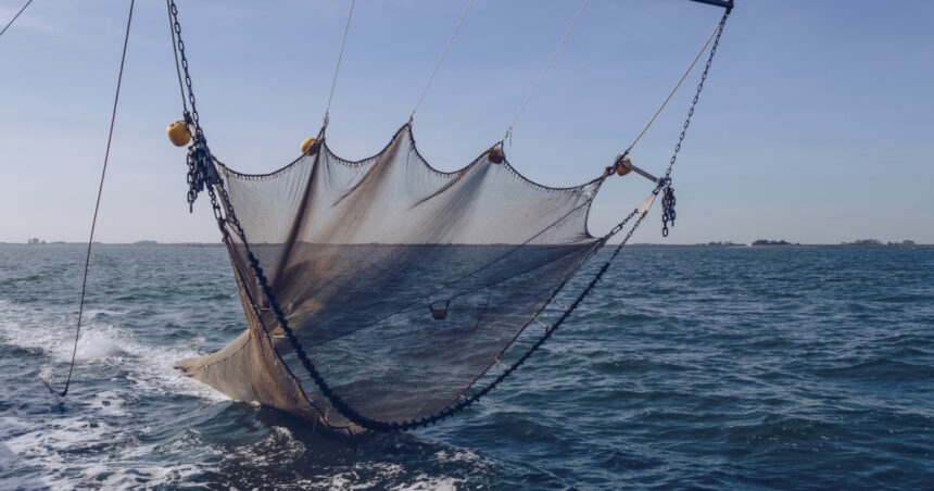 Apel urgent din partea organizațiilor ecologiste pentru salvarea oceanelor: Pactul UE, sub lupă pentru ineficiență! 1 organizatiile de mediu cer masuri urgente pentru protejarea oceanelor pactul ue criticat pentru lipsa de actiuni concrete 68237cf5599a6