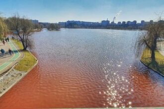 parcul ior va fi transformat intr o gradina muzicala reabilitare pe principiile noului bauhaus european 6835716242418