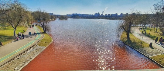 Parcul IOR devine o „oază de sunete”: revitalizare conform viziunii Noului Bauhaus European 1 parcul ior va fi transformat intr o gradina muzicala reabilitare pe principiile noului bauhaus european 6835716242418