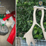 Razii în Cobadin și Ciocârlia: Captură de braconaj și zeci de litri de motorină fără documente 2 perchezitii la doi barbati din cobadin si ciocarlia braconaj si sute de litri de motorina fara acte 68270a9625e36