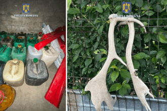 perchezitii la doi barbati din cobadin si ciocarlia braconaj si sute de litri de motorina fara acte 68270a9625e36