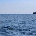 Strategie ambițioasă de apărare în zonă: UE intenționează să stabilească un centru de securitate la Marea Neagră 2 plan major pentru aparare in regiune ue vrea sa infiinteze un centru de securitate la marea neagra 68375b254d32b
