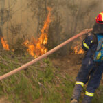Pompierii din Grecia își perfectionează abilitățile pentru a combate incendiile de vegetație, în contextul unui sezon provocator cu aproape 10.000 de flăcări raportate anul trecut. 3 pompierii greci se antreneaza pentru stingerea incendiilor de vegetatie din acest sezon aproape 10 000 de incendii au fost anul trecut 682f29daad4bc