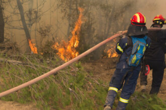 pompierii greci se antreneaza pentru stingerea incendiilor de vegetatie din acest sezon aproape 10 000 de incendii au fost anul trecut 682f29daad4bc