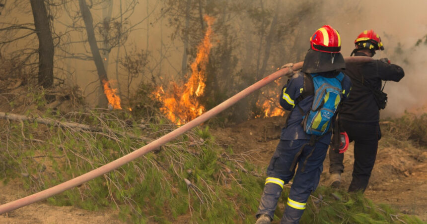 Pompierii din Grecia își perfectionează abilitățile pentru a combate incendiile de vegetație, în contextul unui sezon provocator cu aproape 10.000 de flăcări raportate anul trecut. 1 pompierii greci se antreneaza pentru stingerea incendiilor de vegetatie din acest sezon aproape 10 000 de incendii au fost anul trecut 682f29daad4bc