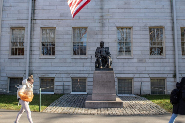 povestea studentului roman prins la mijloc in conflictul harvard trump trebuie neaparat sa termin ultimul an 68314df662ef8