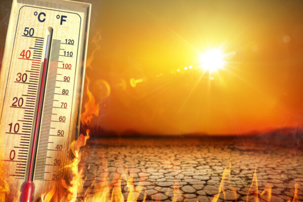 raport temperaturile pe glob se vor mentine la niveluri record in urmatorii cinci ani stiinta este fara echivoc 6836a1c23689d