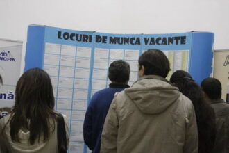 rata somajului a scazut 6818618de8534