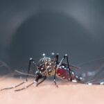 Încălzirea globală deschide calea pentru epidemii tropicale în Europa, cu riscuri de multiplicare de cinci ori a unor afecțiuni. 2 schimbarile climatice favorizeaza aparitia unor focare de boli tropicale in europa anumite maladii ar putea creste de cinci ori 6826c523c609f