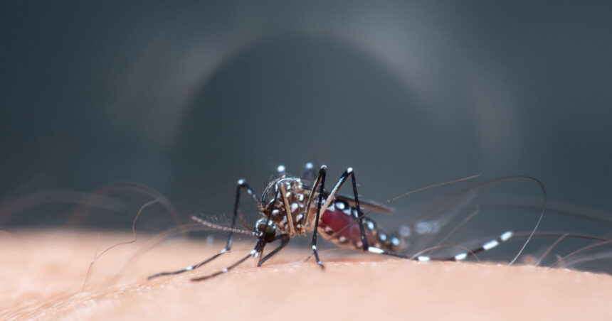 Încălzirea globală deschide calea pentru epidemii tropicale în Europa, cu riscuri de multiplicare de cinci ori a unor afecțiuni. 1 schimbarile climatice favorizeaza aparitia unor focare de boli tropicale in europa anumite maladii ar putea creste de cinci ori 6826c523c609f