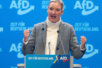 serviciile germane au desemnat afd drept organizatie extremista ce urmeaza pentru partid 68149eba2d498