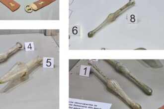 si femeilor din cetatea tomis le placea luxul expozitie de recipiente antice de parfum la mormantul pictat de tip hypogeu 681e812f5ce78