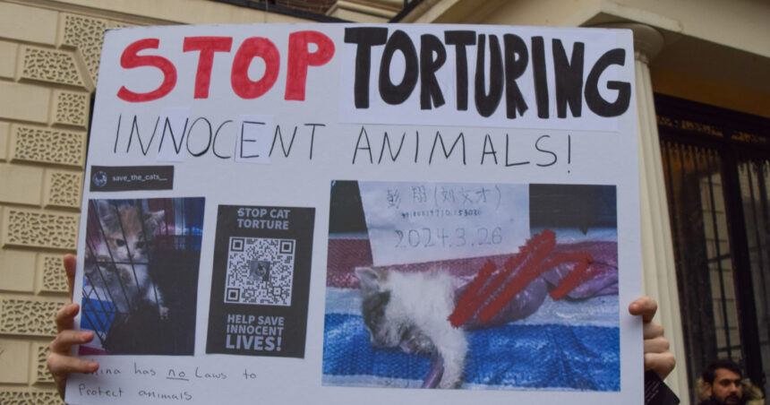 Universul întunecat al abuzatorilor de feline: Conflictul tăcut între iubitorii de pisici și profitorii din „zoosadism” 1 subcultura bolnava a tortionarilor de pisici razboiul secret dintre iubitorii de feline si cei care fac bani din zoosadism 683b06b656cfa