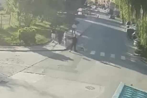 tanara impuscata pe strada in complexul cosmopolis de langa bucuresti atacatorul s a sinucis 683b6071e3637