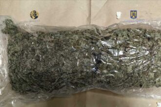 traficant prins in flagrant la constanta cu 9 kilograme de canabis 681efa2a24c29