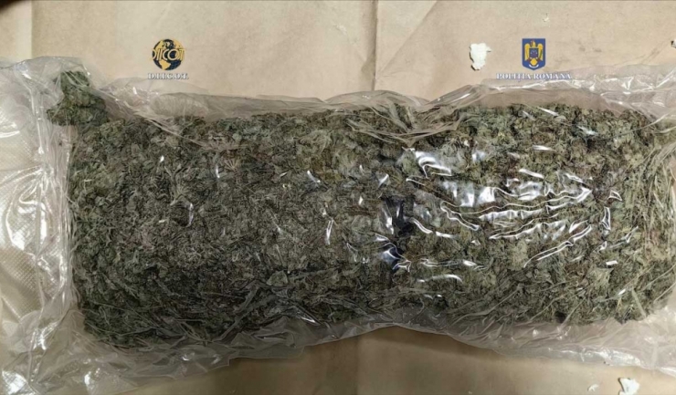 Capturat pe fapta în Constanța: 9 kilograme de canabis descoperite la un traficant! 1 traficant prins in flagrant la constanta cu 9 kilograme de canabis 681efa2a24c29