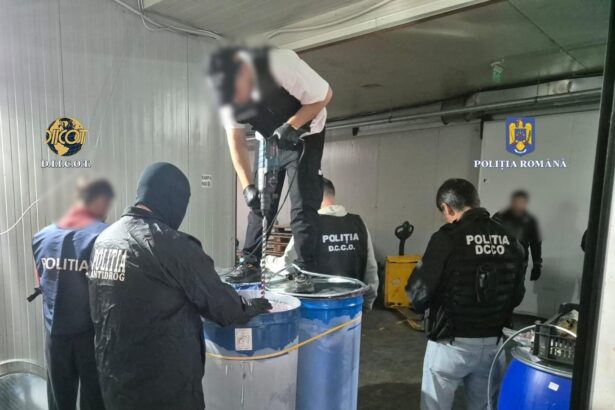 tribunalul constanta asteptat sa se pronunte azi intr un mega dosar diicot totul a plecat din portul agigea 681c1fc450fac