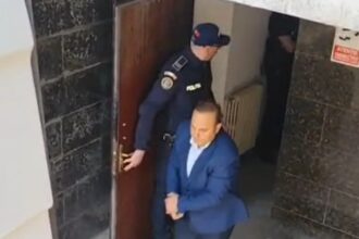 tribunalul constanta decizie in cazul lui mitica tuchila fostul director executiv al dsv tulcea ce a cerut dna 68218feac23ee