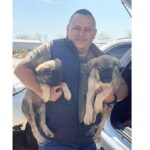 Un constănțean în căutarea unui cățeluș a plecat acasă cu două suflete iubitoare: O inimă imensă! 3 un constantean venit sa adopte un catelus a plecat acasa cu doi o singura inima mare 681b1cba624f1