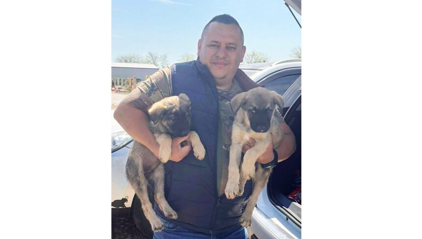 Un constănțean în căutarea unui cățeluș a plecat acasă cu două suflete iubitoare: O inimă imensă! 1 un constantean venit sa adopte un catelus a plecat acasa cu doi o singura inima mare 681b1cba624f1
