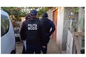 video 12 perchezitii in harsova navodari si alte localitati politistii de la crima organizata destructureaza o presupusa retea de traficanti de persoane 682d77d62b9c6