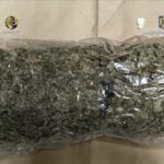 Captură impresionantă la Constanța: Aproape 9 kilograme de canabis, sosite din Spania prin curierat! 3 video captura de proportii la constanta aproape 9 kilograme de canabis trimise din spania prin curier 681e09b2f08c2