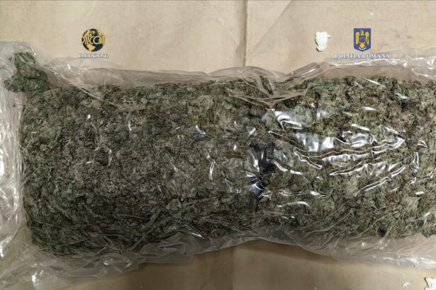 video captura de proportii la constanta aproape 9 kilograme de canabis trimise din spania prin curier 681e09b2f08c2