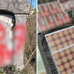 Tineri scandalagii transformă un cimitir în scenă de vandalism cu simboluri naziste: reacția poliției după ce imaginile au fost postate pe rețelele sociale. 2 video cimitir vandalizat cu insemne naziste de trei tineri s au filmat si au publicat imaginile pe retelele sociale ce cred politistii 6826baa57ef5f