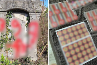 video cimitir vandalizat cu insemne naziste de trei tineri s au filmat si au publicat imaginile pe retelele sociale ce cred politistii 6826baa57ef5f