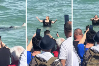 video de la baia de multime la baia in mare diana sosoaca a inotat si a facut show la neptun 6813870c10cf9