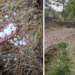 video grindina de dimensiuni mari in judetul constanta la lipnita si baneasa au cazut bucati de gheata cat ouale de prepelita 6830b94372f7e