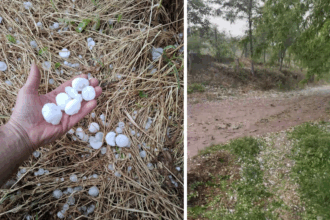 video grindina de dimensiuni mari in judetul constanta la lipnita si baneasa au cazut bucati de gheata cat ouale de prepelita 6830b94372f7e