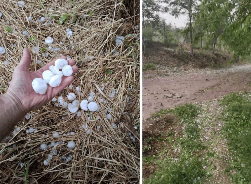 Furtună de grindină impresionantă în Constanța: La Lipnița și Băneasa, gheața a căzut în forme mari, asemănătoare ouălor de prepeliță! 1 video grindina de dimensiuni mari in judetul constanta la lipnita si baneasa au cazut bucati de gheata cat ouale de prepelita 6830b94372f7e