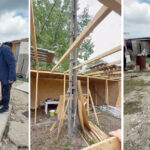 Imagini de coșmar în tabăra din Năvodari: Horia Constantinescu, președintele CJPC, compară situația cu Cernobâl după dezastru. 2 video imagini apocaliptice in tabara din navodari horia constantinescu presedintele cjpc imaginile de la cernobal dupa explozie 6839d7914e1ef