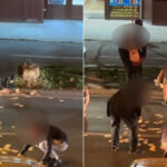 Timișoara surprinde: o femeie împrăștie 13.000 de euro pe stradă. Care a fost motivele acestui gest șocant? 2 video incident neobisnuit in timisoara o femeie a aruncat 13 000 de euro in mijlocul strazii de ce a recurs la acest gest 6828e2fa4ede5