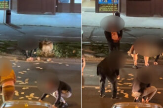 video incident neobisnuit in timisoara o femeie a aruncat 13 000 de euro in mijlocul strazii de ce a recurs la acest gest 6828e2fa4ede5