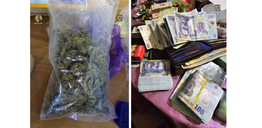 Captură impresionantă în 2025: O tonă de narcotice descoperită în România, cu ajutorul firmelor de curierat folosite de traficanți! 1 video o tona de droguri descoperita in 2025 in romania firmele de curierat folosite de traficanti 68318c09485b3