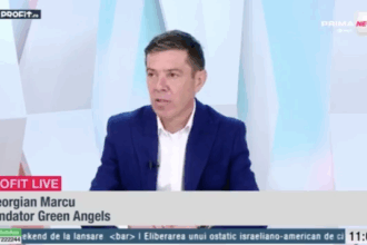 video profit ro tv georgian marcu fondator green angels preturile la apartamente au crescut chiar si in conditiile inflatiei si dobanzilor record la un moment dat chiriile vor creste mai m 682d5af184295