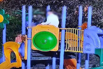 video smecheri din constanta filmati in timp ce distrug o bicicleta bike sharing si mobilier de la un loc de joaca 681b137e7da54