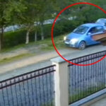 Un câine a fost împușcat pe o stradă din apropierea Timișoarei, surprins de camerele de supraveghere! 2 video un caine ar fi fost impuscat pe o strada de langa timisoara un barbat a fost surprins pe camera de supraveghere 681c72e9867d5