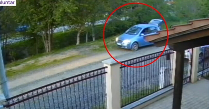 Un câine a fost împușcat pe o stradă din apropierea Timișoarei, surprins de camerele de supraveghere! 1 video un caine ar fi fost impuscat pe o strada de langa timisoara un barbat a fost surprins pe camera de supraveghere 681c72e9867d5