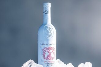 vinul zilei un primitivo cu arome intense de capsuni visine si prune taninuri fine si o aciditate placuta un vin rosu care se serveste rece potrivit alaturi de carne rosie branzeturi sau paste c 681311bfa9376