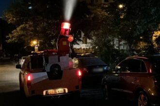 actiunile de dezinsectie reluate la constanta si mamaia 685bf75f38016