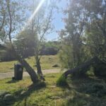 Un tânăr de 16 ani din Ovidiu, descoperit decedat în Parcul Tăbăcărie! Detalii din partea autorităților privind această tragedie 2 adolescentul de 16 ani gasit spanzurat in parcul tabacarie era din ovidiu ce spune politia despre acest caz 683e97dc2ec24