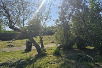 adolescentul de 16 ani gasit spanzurat in parcul tabacarie era din ovidiu ce spune politia despre acest caz 683e97dc2ec24