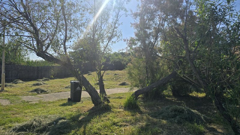 Un tânăr de 16 ani din Ovidiu, descoperit decedat în Parcul Tăbăcărie! Detalii din partea autorităților privind această tragedie 1 adolescentul de 16 ani gasit spanzurat in parcul tabacarie era din ovidiu ce spune politia despre acest caz 683e97dc2ec24