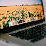 Adobe, gigantul american, își deschide aripile în România! 3 americanii de la adobe urca in romania 6847b1ad7564c