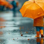 ANM: Previziuni precise pentru săptămâna următoare – ploi în Constanța și Tulcea! 2 anm prognoza detaliata pentru saptamana viitoare se anunta ploi in constanta si tulcea 684d55feee736