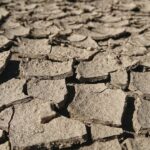 ANM: Culturile de porumb și grâu de toamnă se confruntă cu secetă severă în majoritatea regiunilor țării 2 anm seceta pedologica la culturile de porumb si grau de toamna in cea mai mare parte a tarii agrometeo 685fa164cae7b